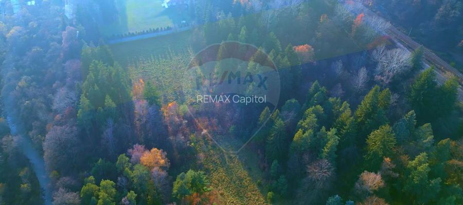 Teren constructii  intrare Brasov ,zona VIP Bunloc-Timisul de Jos - 4