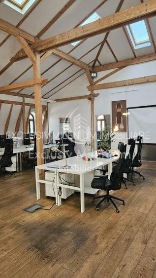 Universitate Birouri  /Piata Rosetti Mansarda Vila - 7