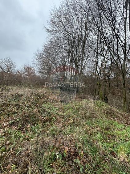 Teren 1,200mp si 400m2 cota drum Satu Nou de Jos / Strada Principala - 11