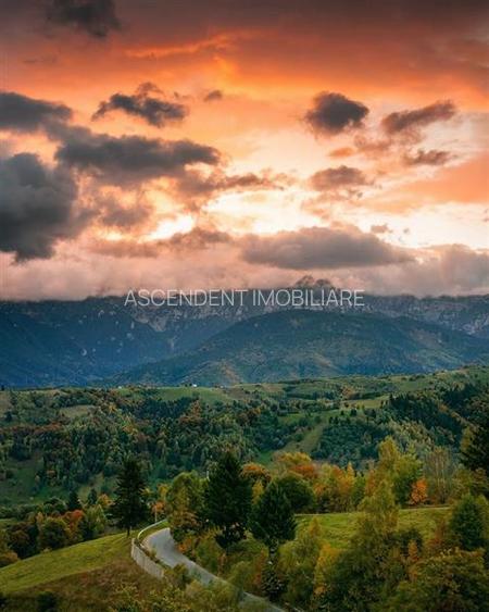 Domeniu rezidential/ pensiune premium, cadru natural impresionant, teren 1000 mp - 18