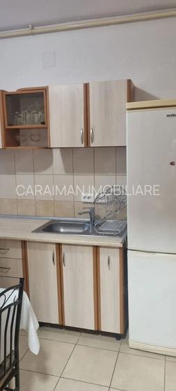 Doamna Ghica x Colentina, 10 min. parc Plumbuita - 2