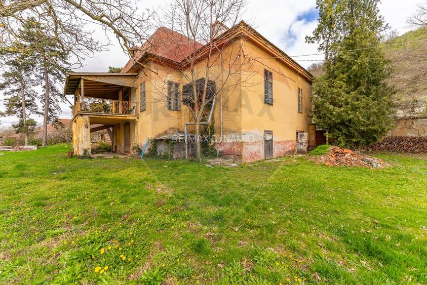 Conac aristocratic secolul XIX , domeniu  2,5 hectare — Păuliș, Arad - 5