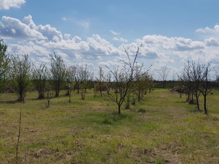 VISUL TĂU LA ȚARĂ, LA DOAR 60 KM DE BUCUREȘTI! Teren intravilan 8402 mp + Casă  - 15