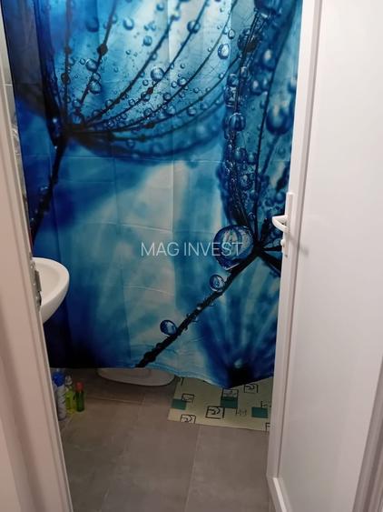 Garsoniera de inchiriat - Tiglina 1, Strada Brailei - 9