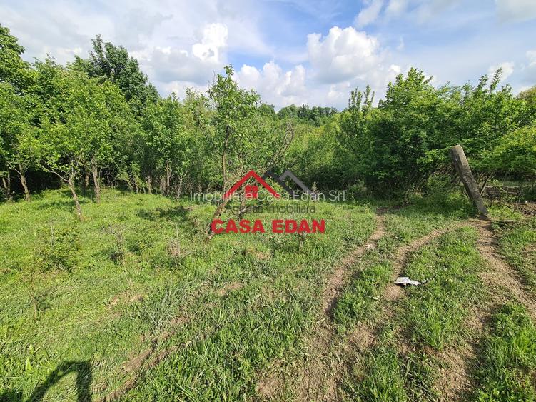 Teren intravilan in Poiana Campina--1954mp--23.500e - 8