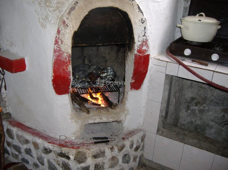 Cabană &icirc;n loc. Valea Inzelului, jud. Alba - 3