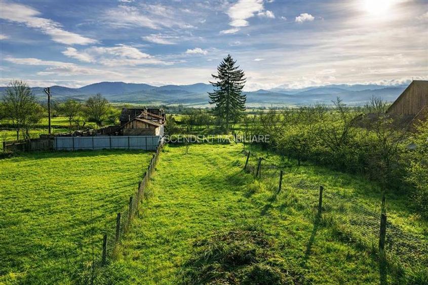 FILM! Casa cu sura, pivnita, balta cu pesti, 2.280 mp teren roditor, Lemnia, Cov - 4