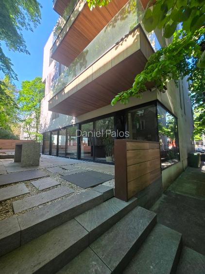 Showroom stradal Floreasca - 4