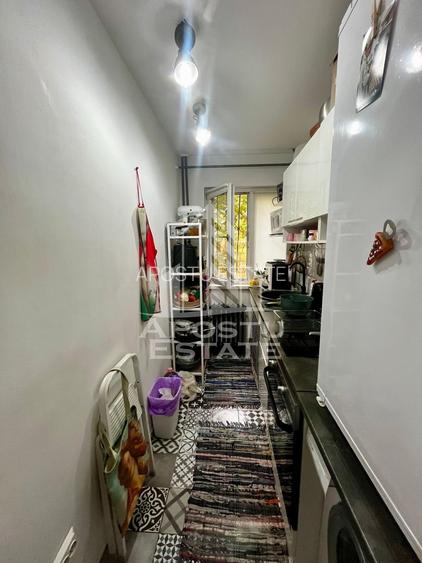 Apartament 2 camere de vanzare,zona Iulius Mall/Cetatii, Timisoara - 8