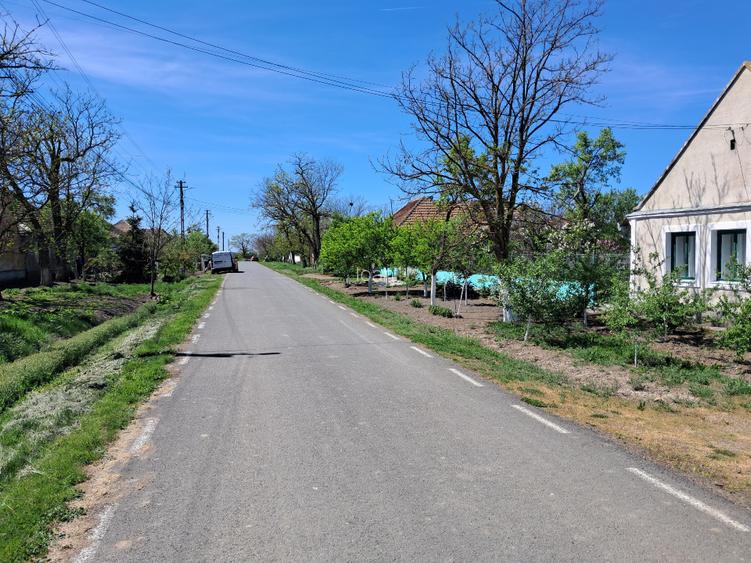 Valcani, proprietate cu casa taraneasca - 3