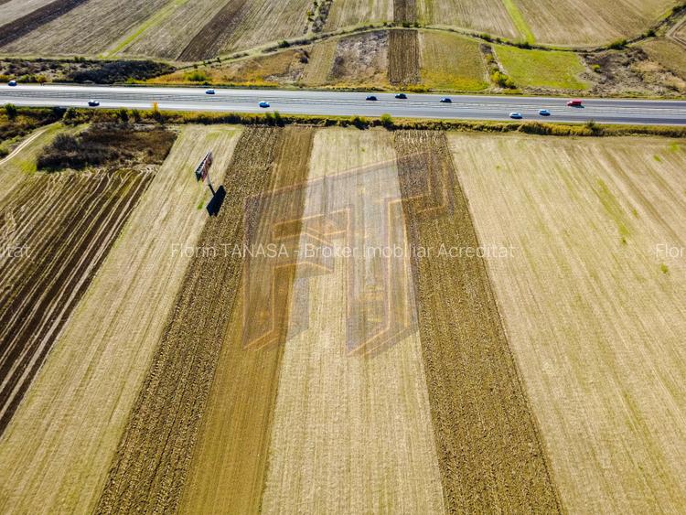 Terenuri industriale cu deschidere la A1, km 64 – Jugureni, Dâmbovița - 7