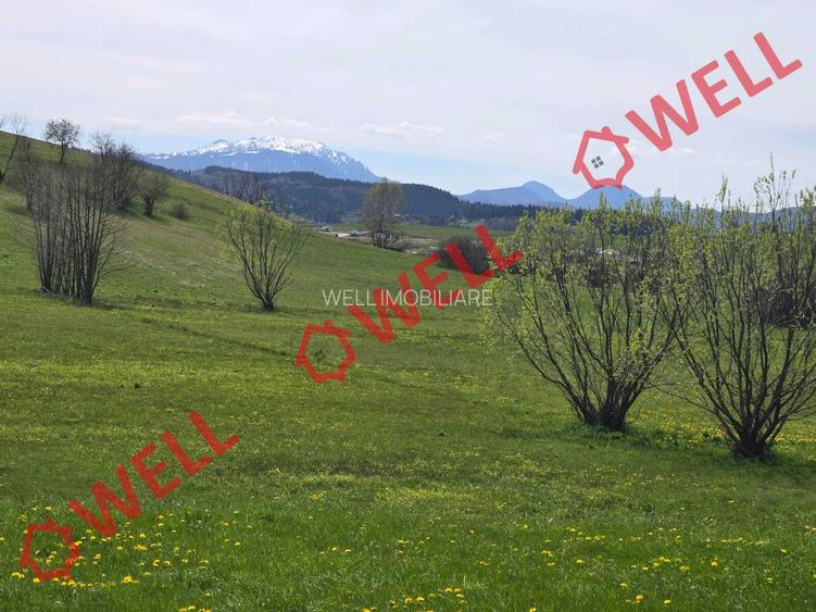 De vânzare teren extravilan în Sărămaș! - 6