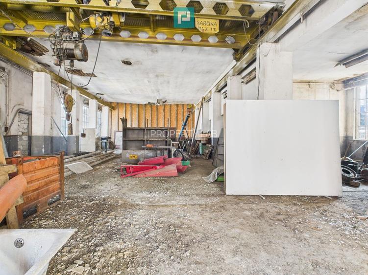 Complex industrial cu hale și teren  în Orțișoara - 46