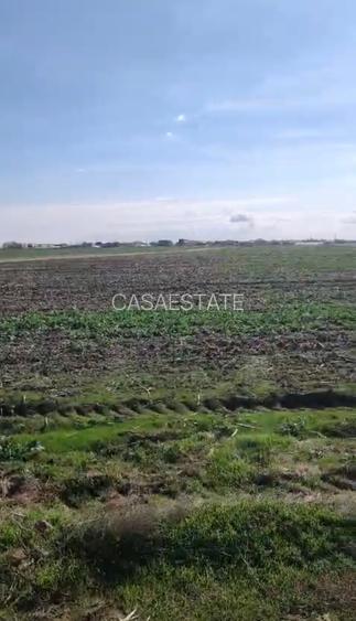 Vanzare teren Vidra Cartier Megaparc - 6