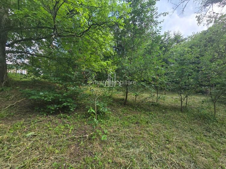 Casa 187Mp suprafat utila in zona centrala a Sighisoarei - 17