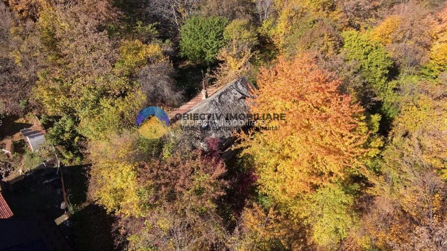 Teren intravilan de vanzare – Piatra Neamt - 8