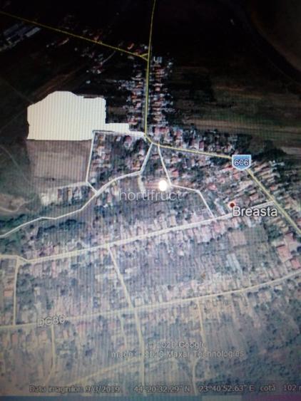 Vand teren intravilan 22500 mp ,industrial, Breasta-DOLJ,50 eur/mp - 4