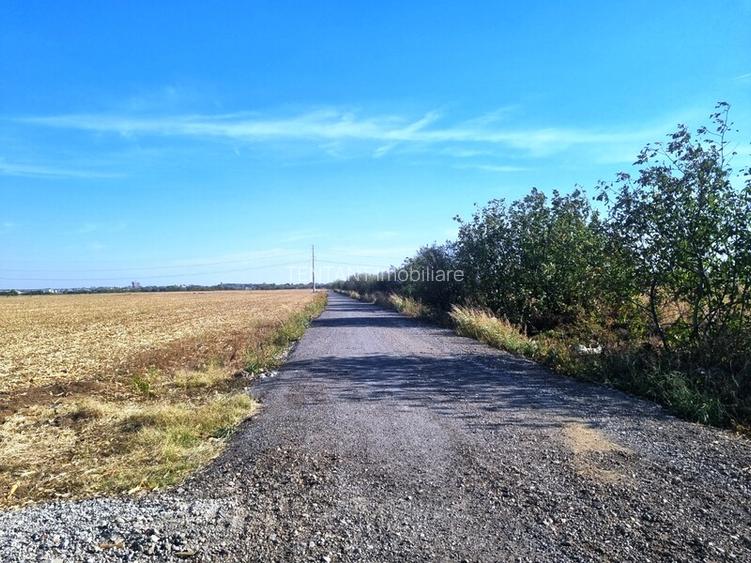 Vanzare Teren industrial  Magurele 4000mp - 5