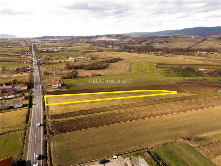 RECO , teren intravilan ,Zona Borod, Bihor - 4