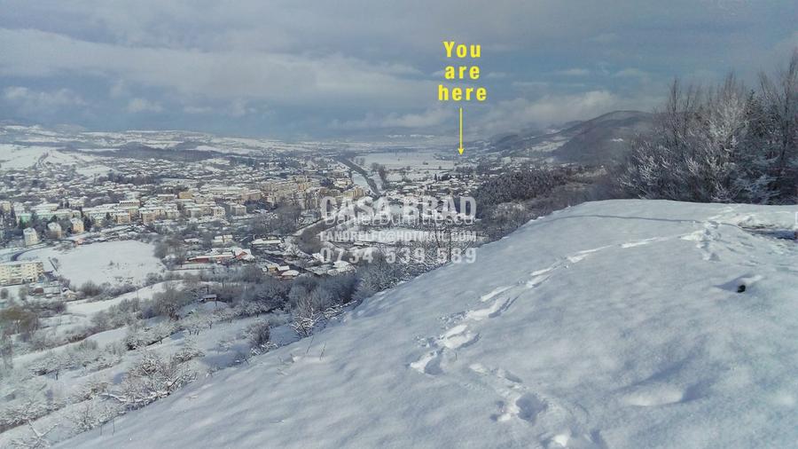 Casa mare cu ~4000mp teren plat, in zona verde, linistita, in orasul Brad, HD - 3