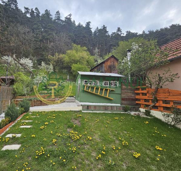 Casă cochetă, complet renovată, în Rășinari, Sibiu - 76