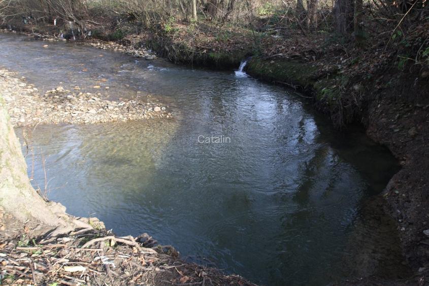 Proprietar vand parcela ptr. cabana de vacanta in Muntii Poiana Ruscai - 3