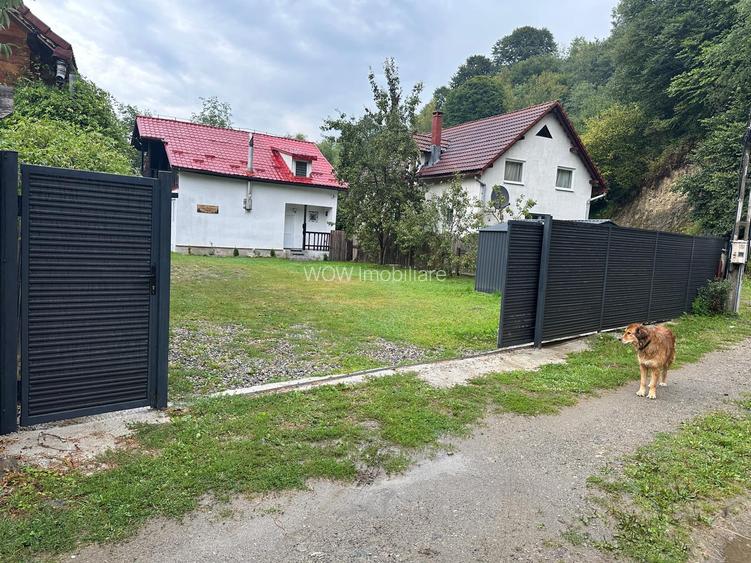 Casa de vacanta cu 5 camere si iesire la rau in Raul Sadului - 8