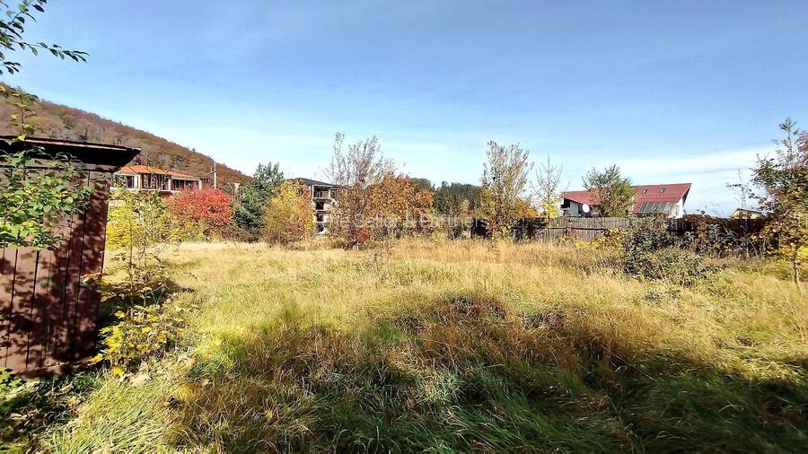 Teren Intravilan Bunloc - 5