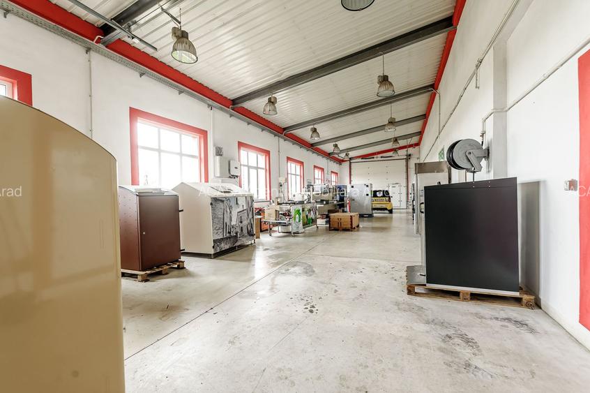 Hale depozitare/producție 2.000 mp si 10.000 mp teren în Pecica - 10