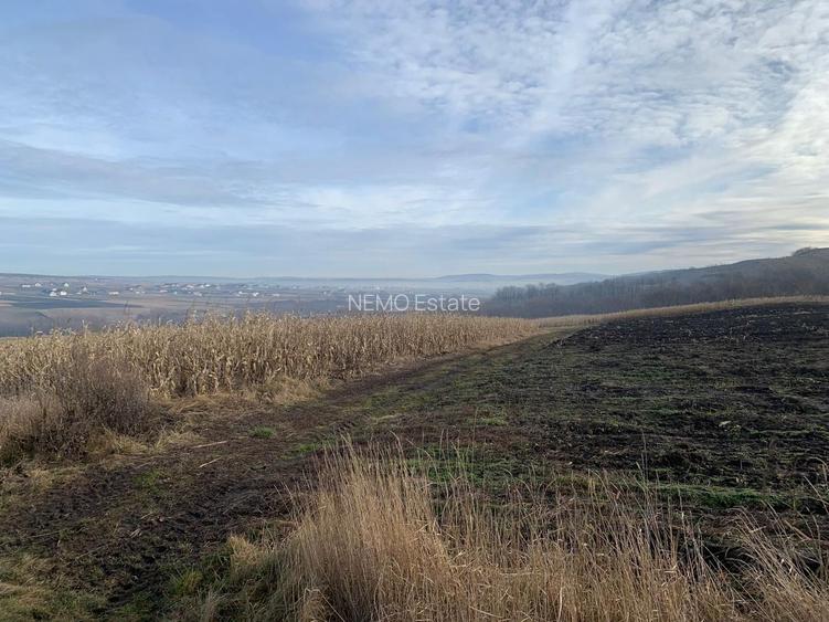 Teren intravilan de vânzare | Cajvana | 7.800 mp - 6