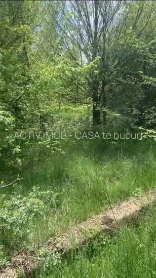 Teren intravilan 500 mp - Ganeasa - 4