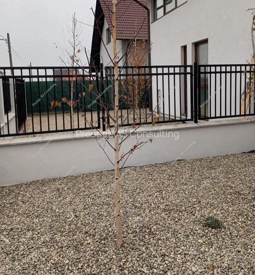 Duplex  4 Camere 250mp Teren| Mosnita Noua-Str Oituz - 4