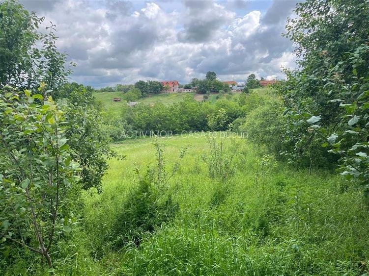 Honorici, Casa Cu Teren, 230 Mp. Suprafata construita, 1.700 Mp. Suprafata teren - 16