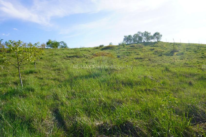 Teren 38,592mp Sighetu Marmatiei / Strada Mocăniței - 3