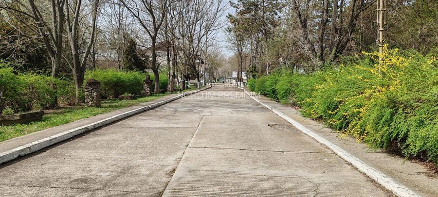 Ferma Hermes Slobozia - 8