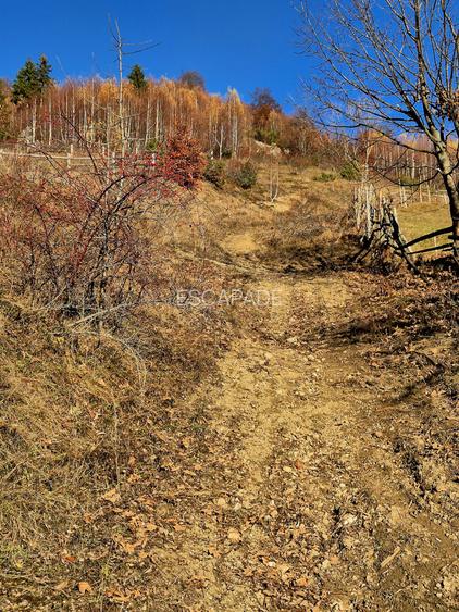 Teren de vânzare în sat Măgura/ Brasov– loc pentru familie, liniște și suflet - 25