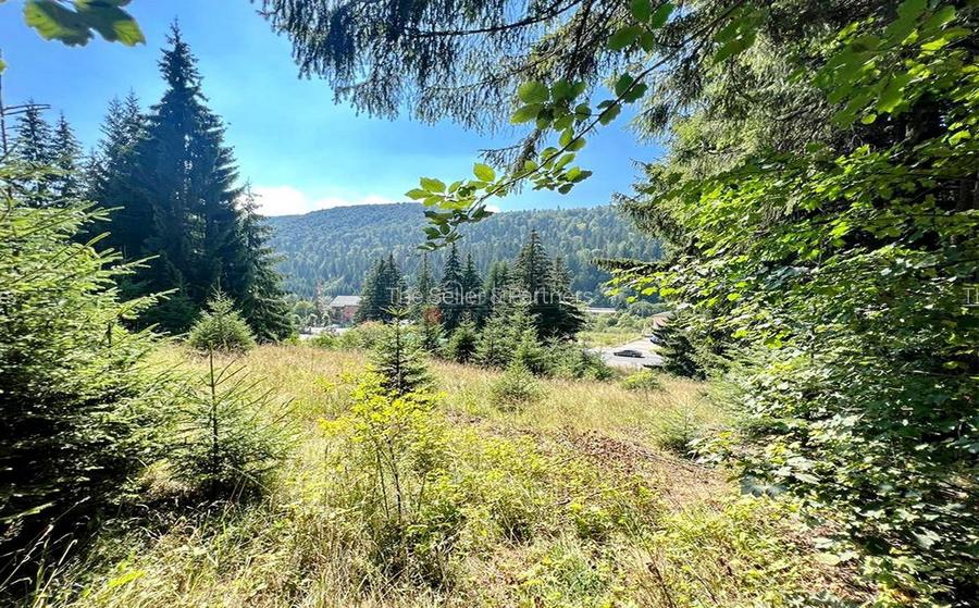 Teren Intravilan Predeal - Acces direct DN - Priveliste deosebita - 35