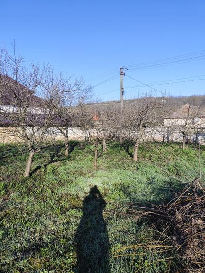 Vand casa Loc. Ohaba, jud. Alba - 15