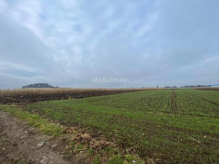 TEREN EXTRAVILAN 13 ARI | FRONT STRADAL 13 M | MARGINEA - 4