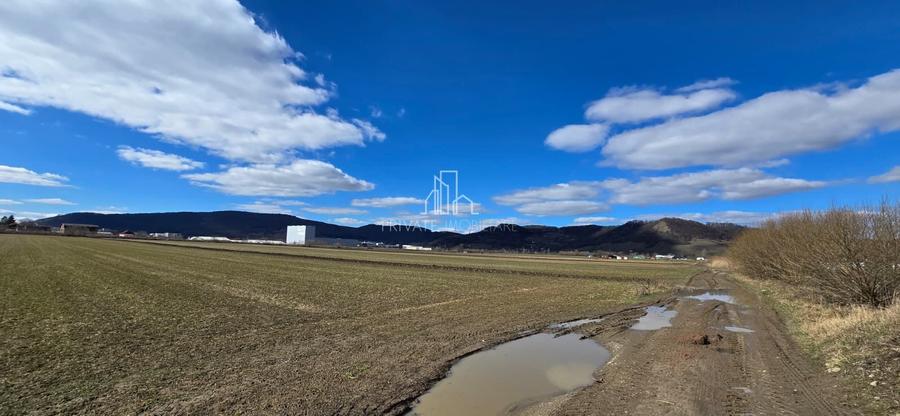 Teren 6607 Mp, Albesti, judet Mures