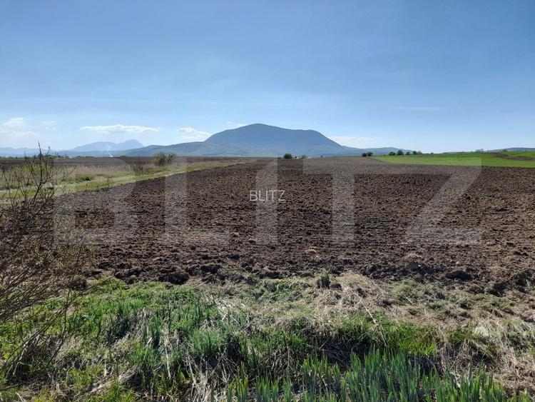 TEREN Extravilan 15000 MP în Zona Codlea - 2