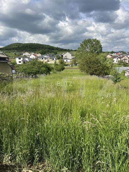 Teren intravilan pentru casa  12.4 ari, zona Subcetate - 2
