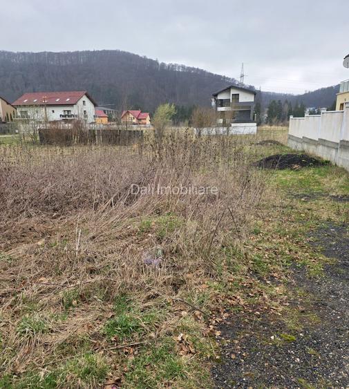 Teren intravilan intre case în Bunloc, lângă pădure – 604 mp - 4