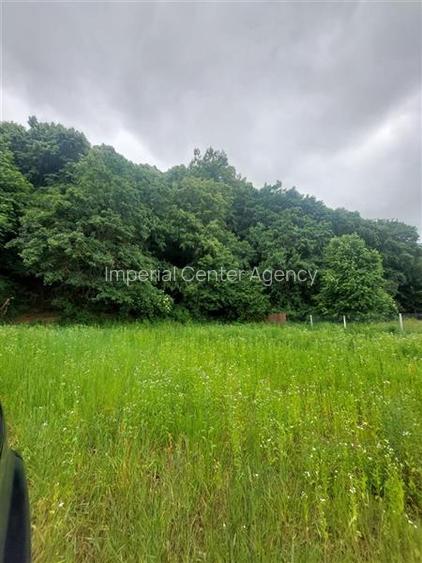 TEREN DE VANZARE IN EXCLUSIVITATE IN ONESTI PE STRADA REDULUI 7028 MP - 2