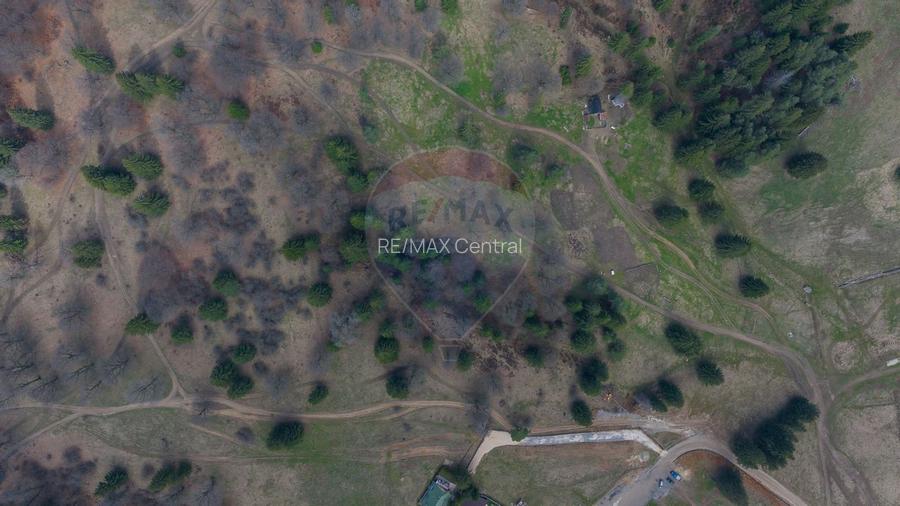 Teren Poiana Brasov, langa Stana turistica 1872mp, PUZ case/ pensiuni - 7