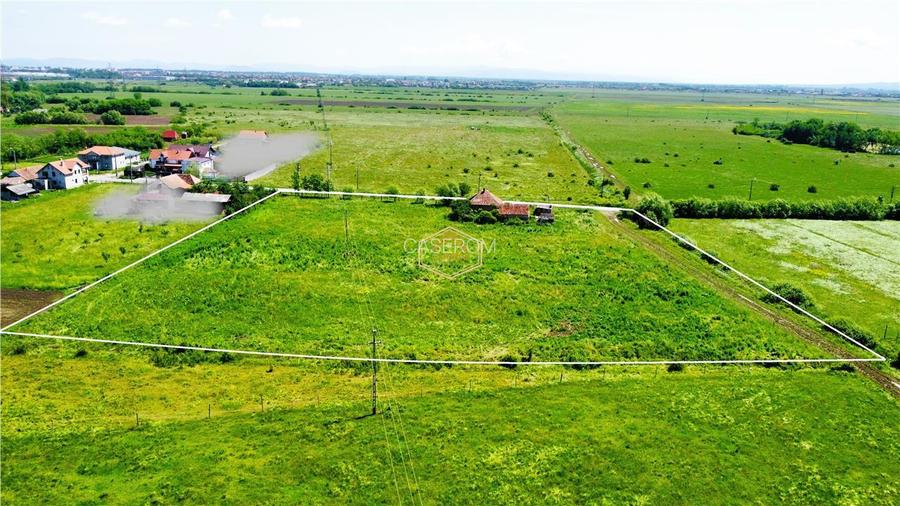 Teren generos si versatil - 10.850 mp | Balta Blonda | Diverse proiecte - 7