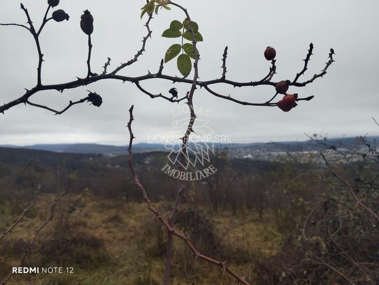 Teren 1000 mp-ideal casa de vacanta, investitie-Zona Valea Budacului - 3