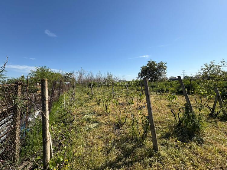 Teren intravilan 1090 mp - Campineanca - 3