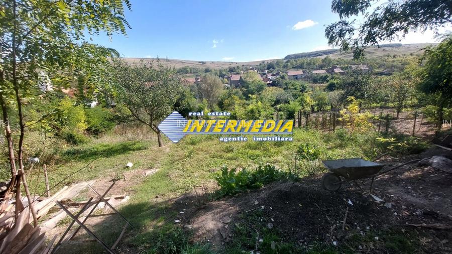 Casa curte si gradina la 15 km de Alba Iulia, Com. Berghin - 9