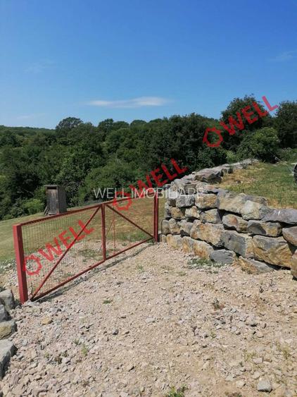 Teren intravilan de vânzare în Calnic! - 7